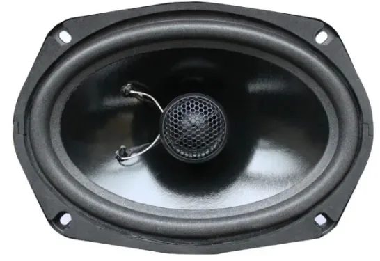 динамики коаксиальные 16х23см (6х9") Best Balance F69