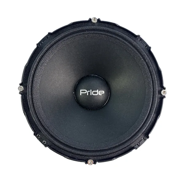 динамики шир 16,5см (6,5") Pride Solo 300