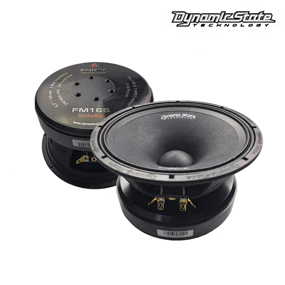 динамики шир эстрада 16,5см (6,5") Dynamic State Force FM165
